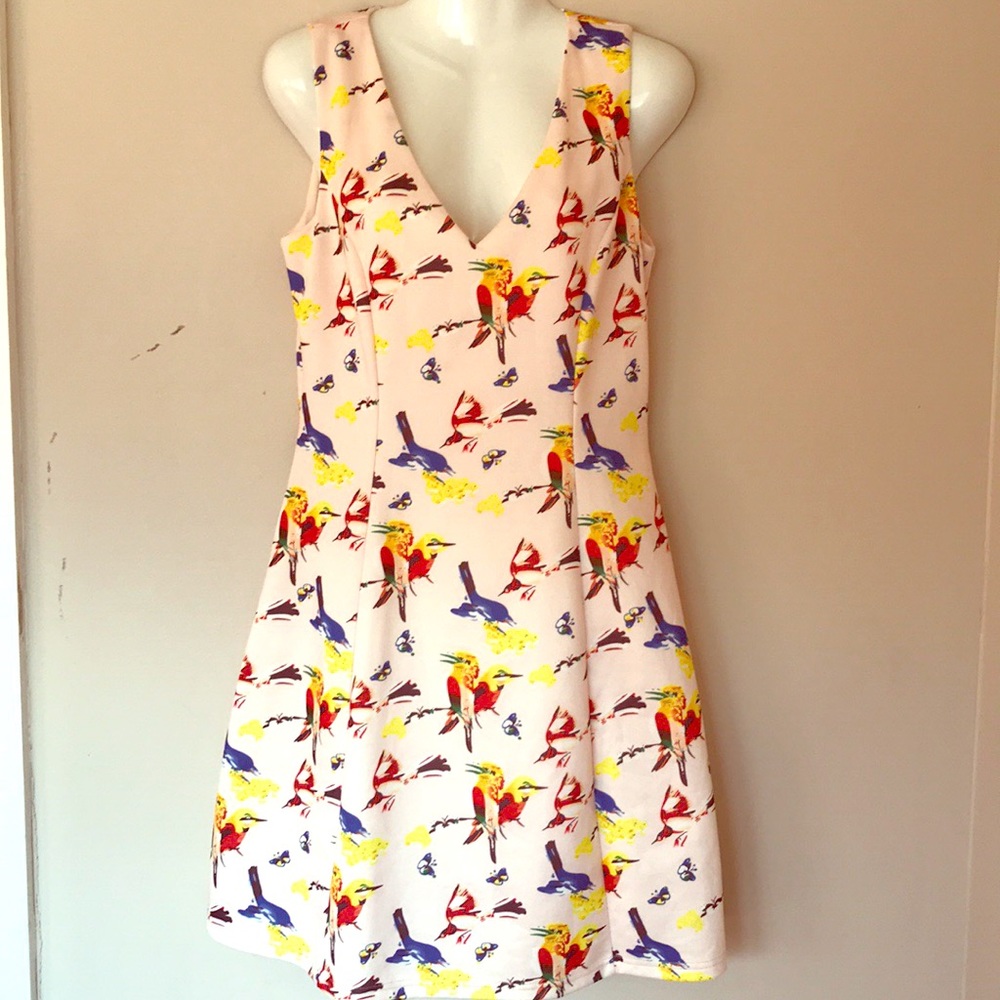 Frockshop by ModCloth Bird print dress
